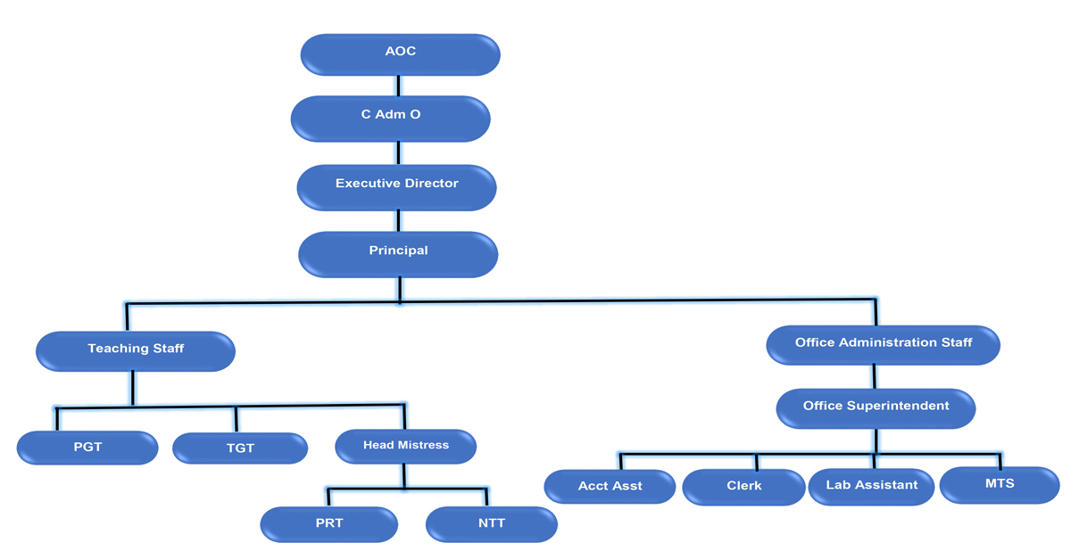 Organization Chart